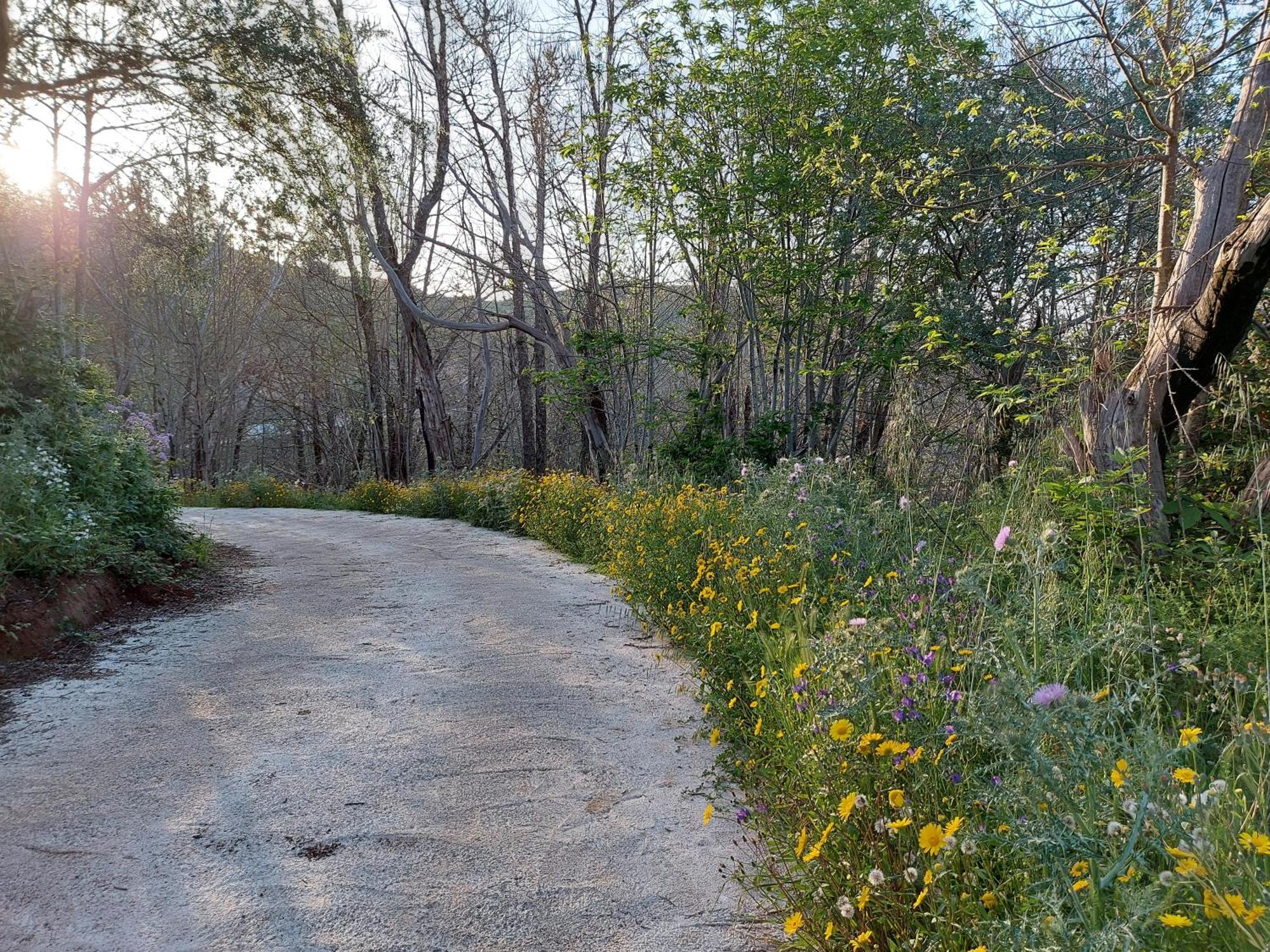 Finca Naturacanaria Moya  Luaran gambar