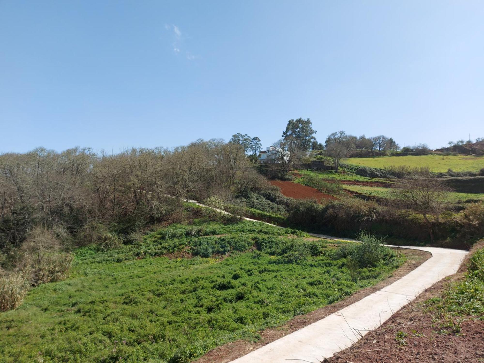 Finca Naturacanaria Moya  Luaran gambar