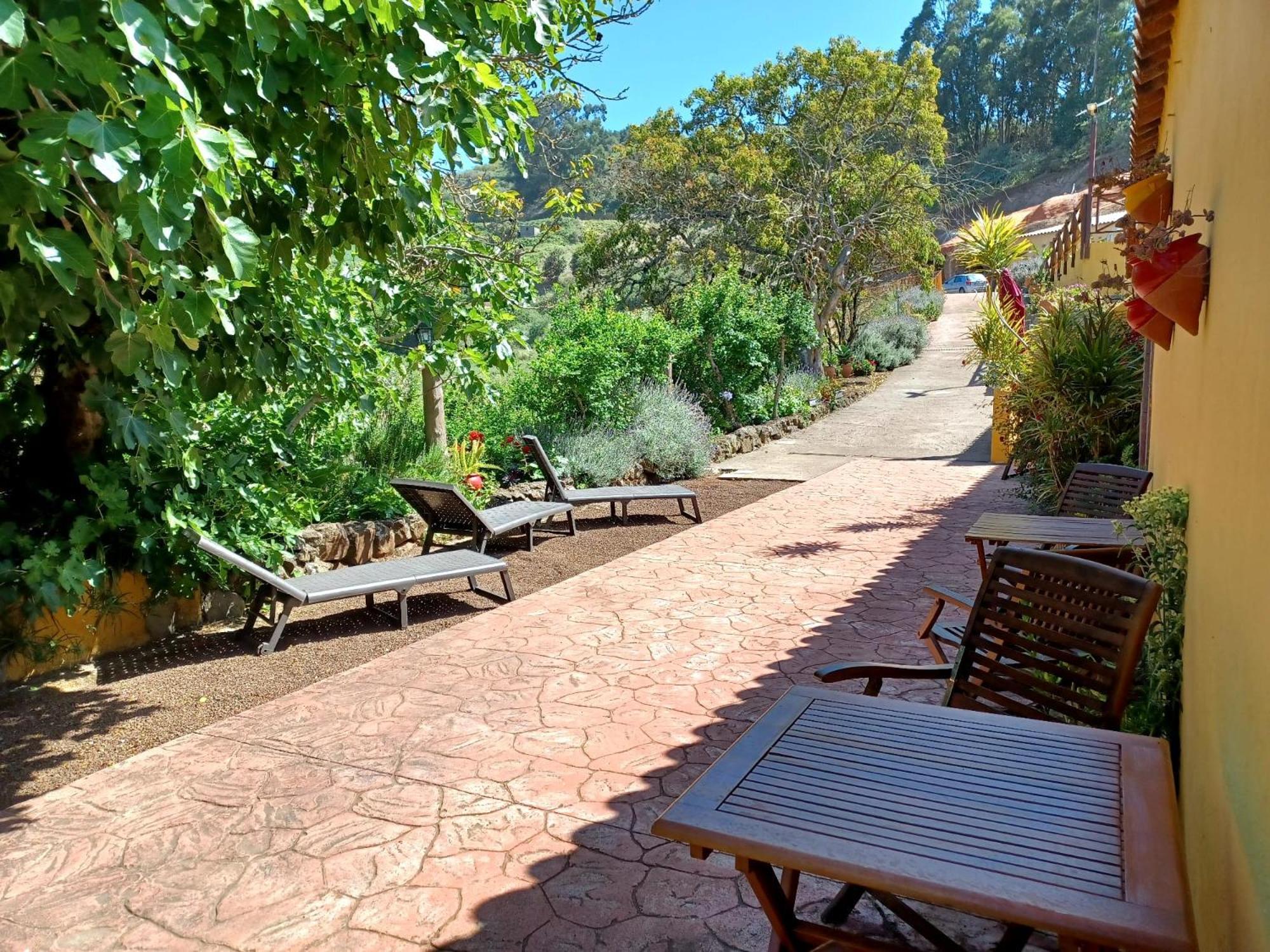 Finca Naturacanaria Moya  Luaran gambar