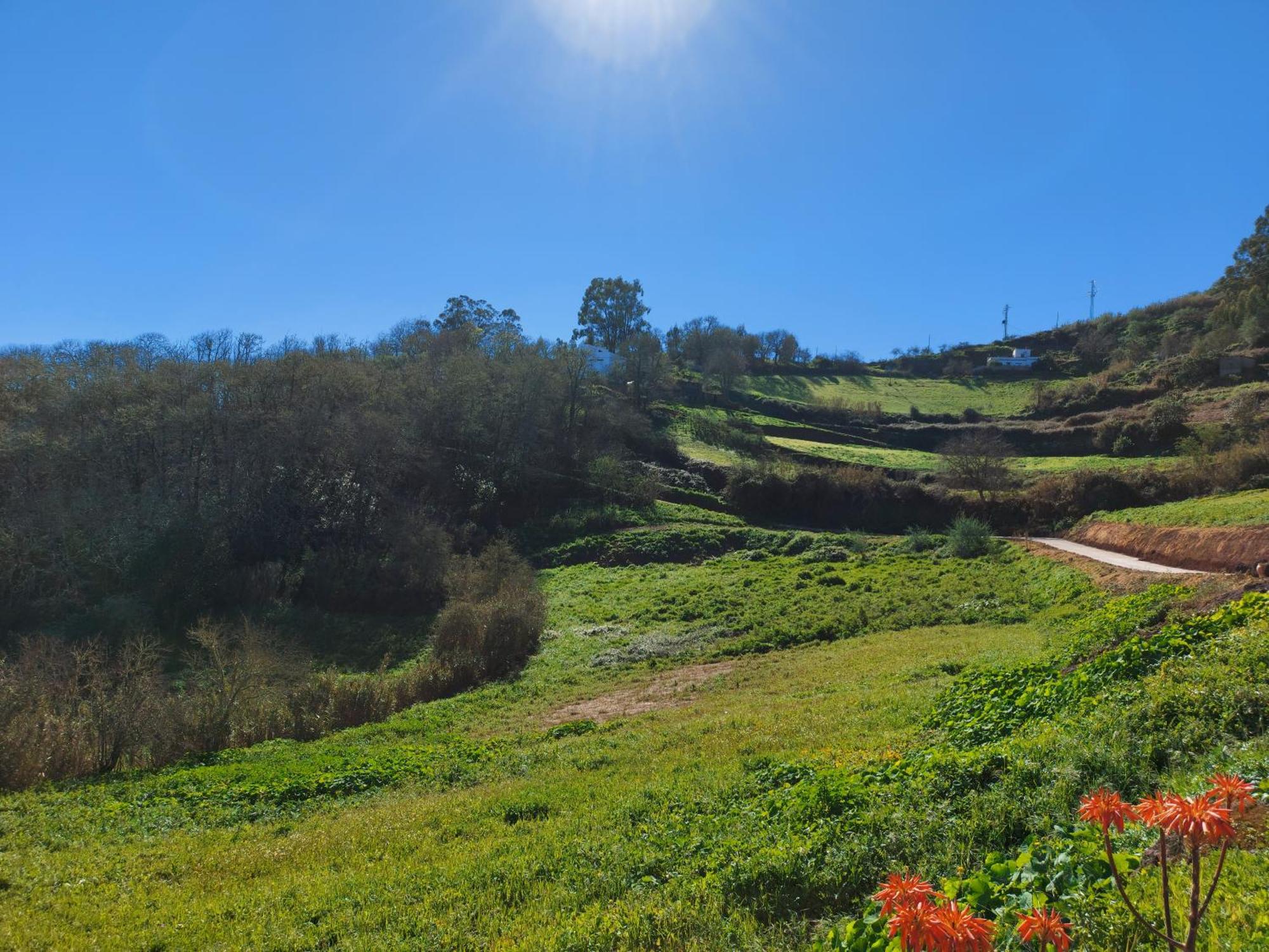 Finca Naturacanaria Moya  Luaran gambar