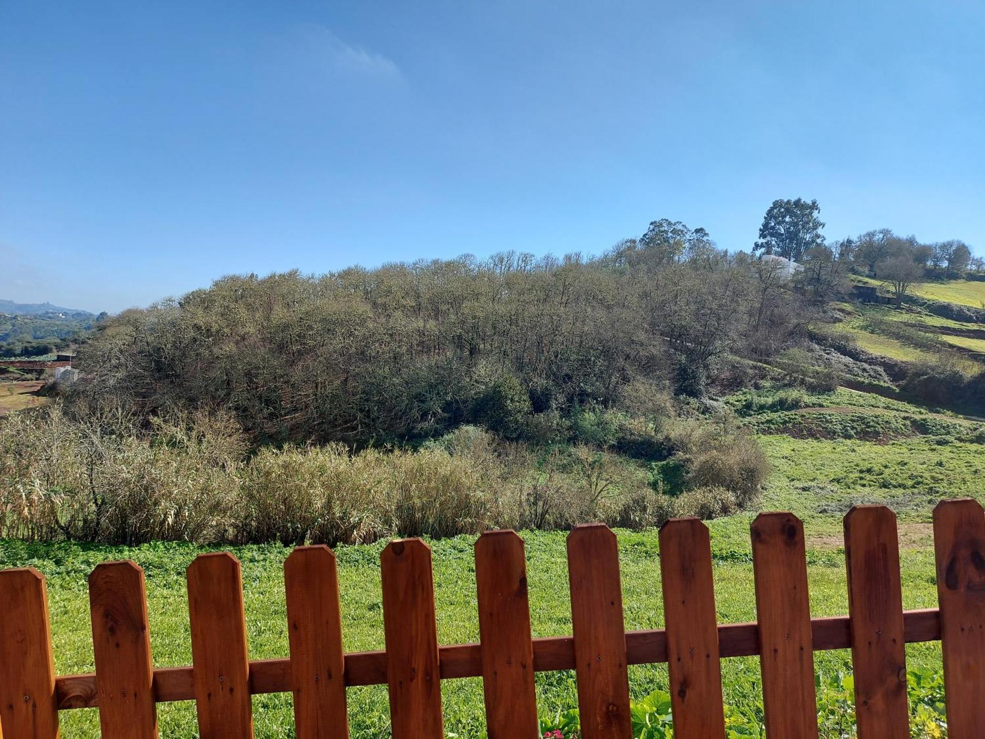 Finca Naturacanaria Moya  Luaran gambar