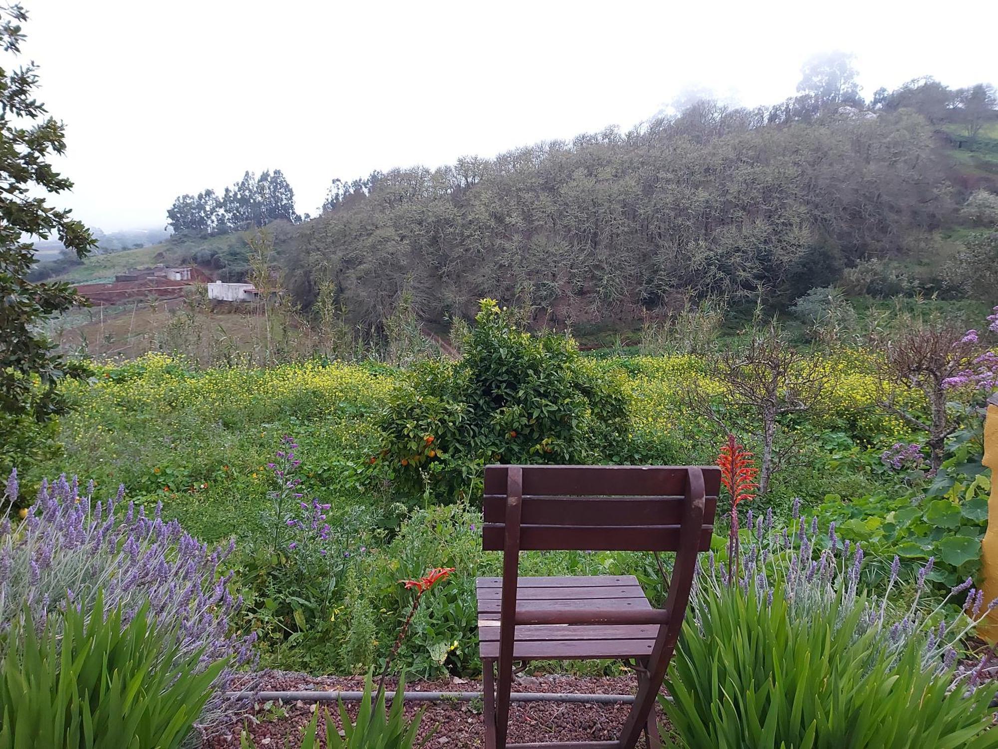 Finca Naturacanaria Moya  Luaran gambar