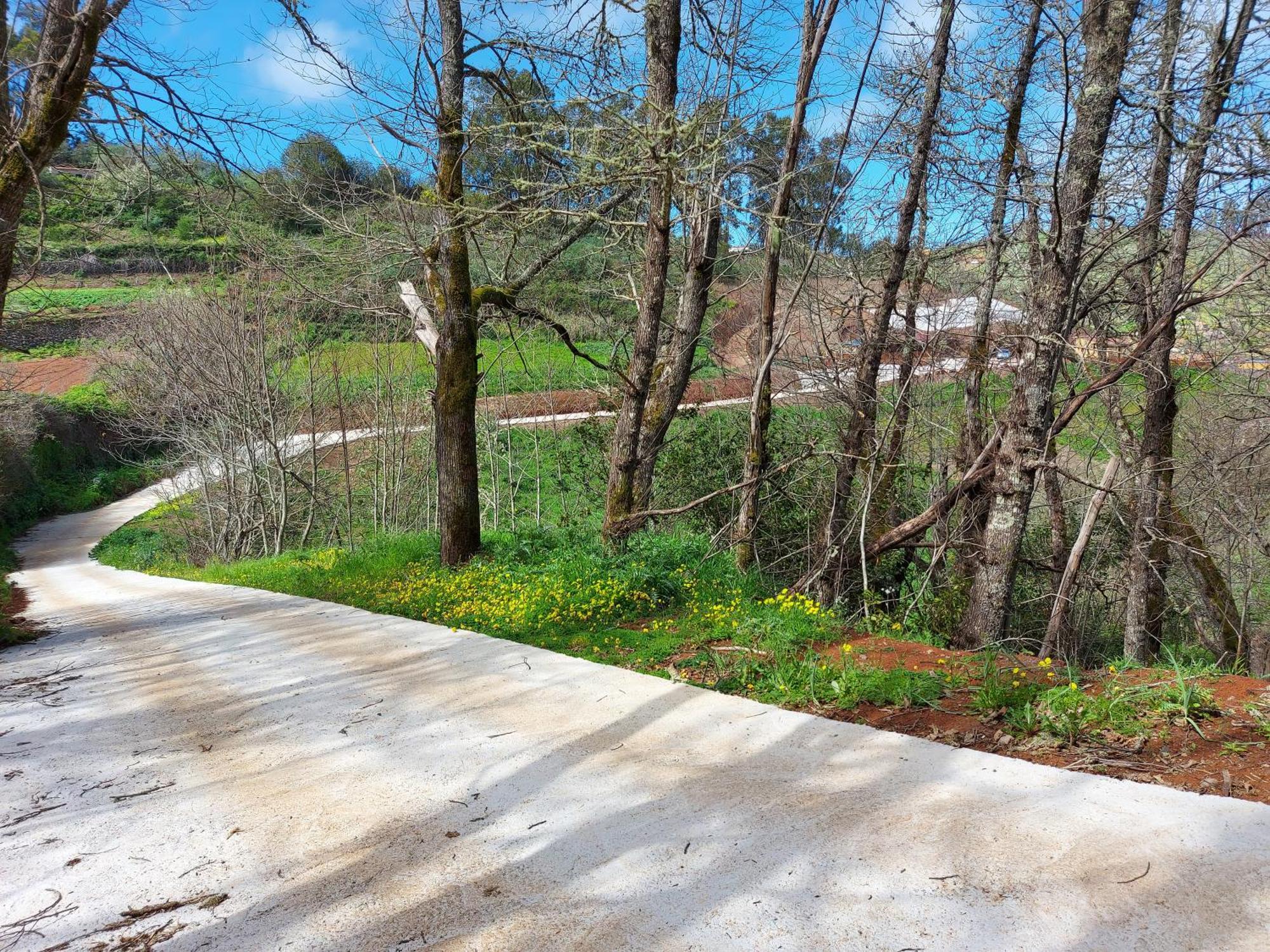 Finca Naturacanaria Moya  Luaran gambar